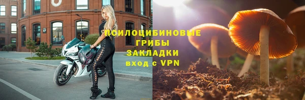 индика Баксан
