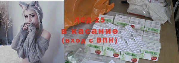 индика Баксан