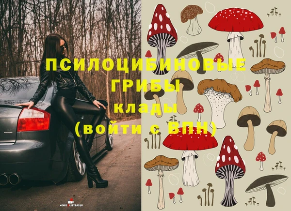 индика Баксан