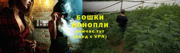прущие грибы Ростов
