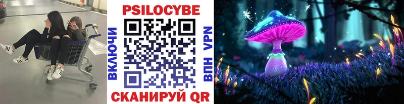 наркотики  Стрежевой  Псилоцибиновые грибы Magic Shrooms 